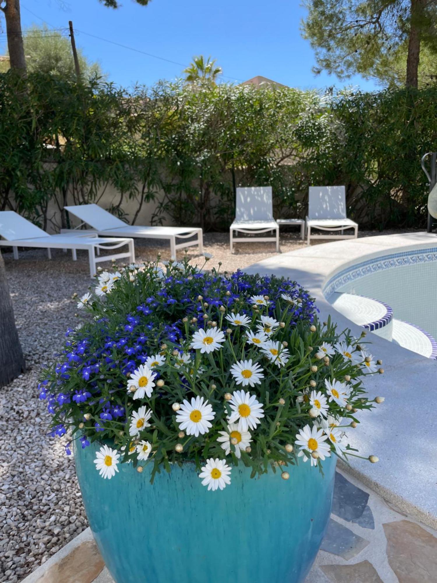 Casa Les Fremeaux Apartment Altea Bagian luar foto